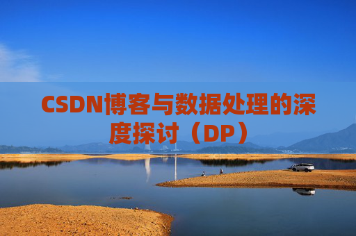 CSDN博客与数据处理的深度探讨（DP）
